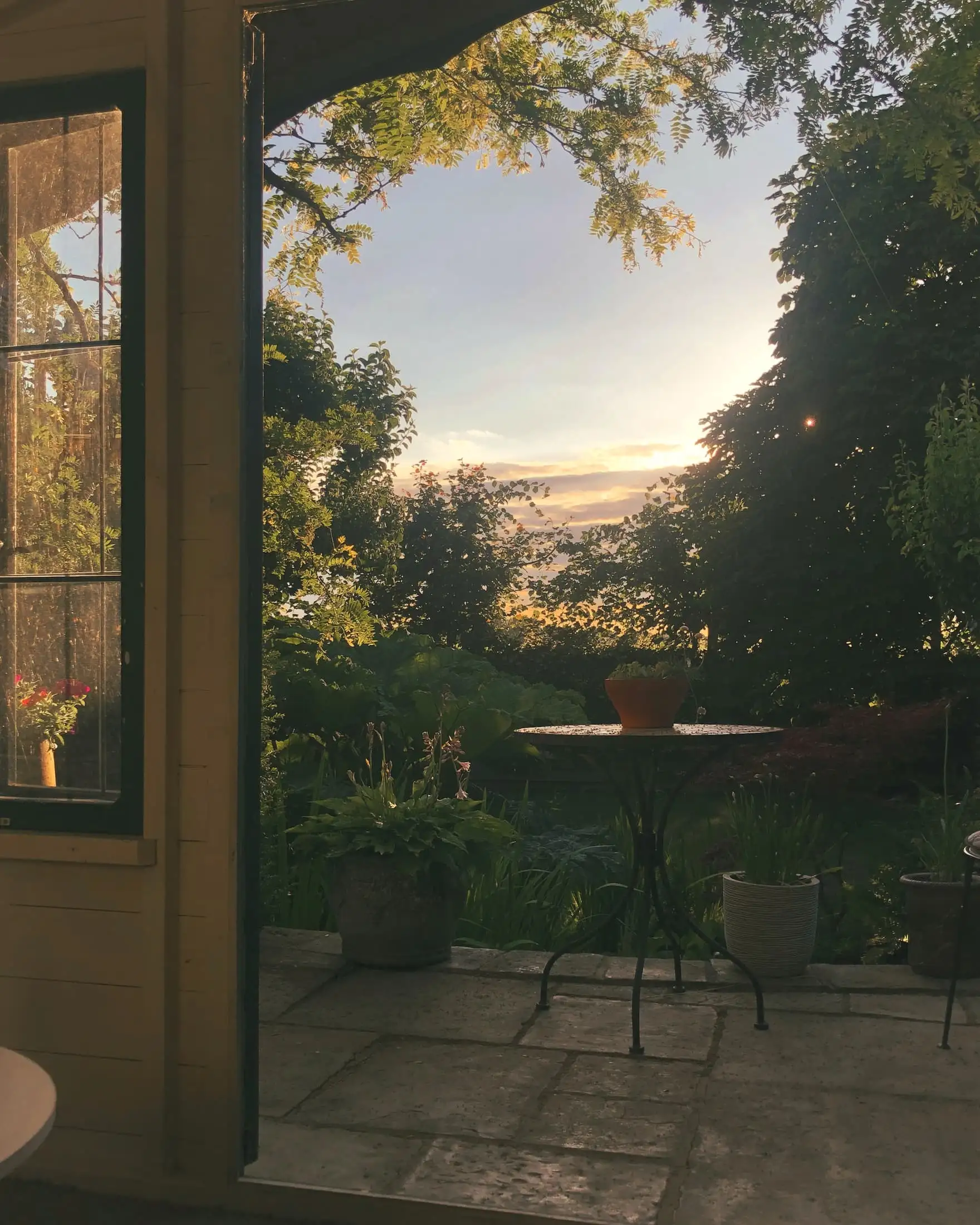 A leafy garden at dusk seen through an open window, with a small round table among the plants and a pink and gold sky behind the trees.