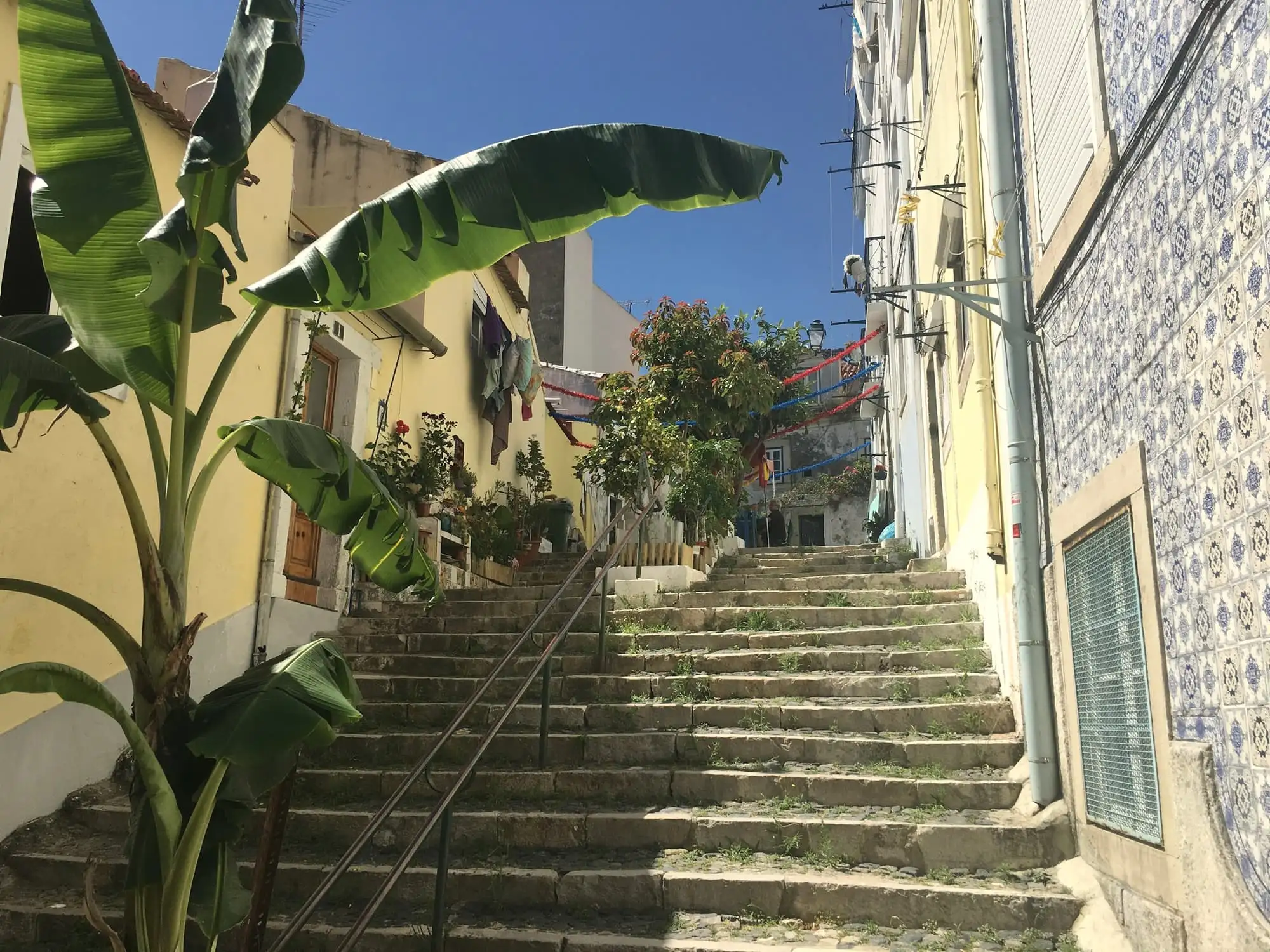 A flight of worn stone steps between yellow houses, with a banana plant on the left and a tiled wall on the right.